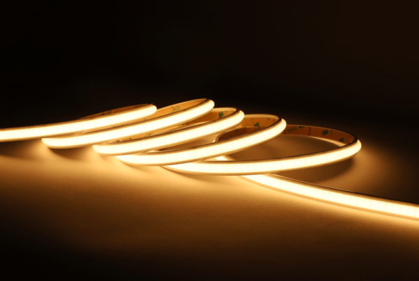 Studio Photography Marketing Image of Lotus LED Lights Product LBL-MC-240-24V-8MM-16FT-IP65 for SimplySecured.ca Shopify