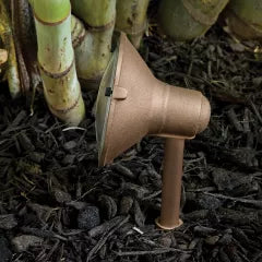 CAST Classic Wall Wash | CWW1CB